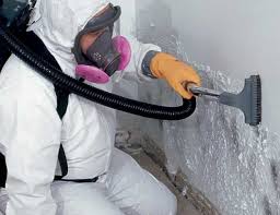 Monon, IN Mold Removal Company